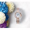 客訂商品,CASIO SHE-3050SG-7AUDR(公司貨,保固1年):::Sheen,時尚女錶,日期,刷卡不加價或3期零利率,SHE3050SG